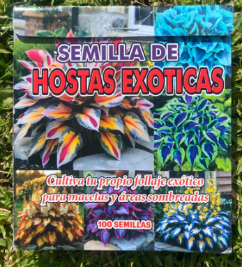 Semillas de Hostas Exóticas